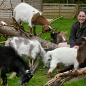 Hoo Zoo and Dinosaur World in Telford area. Getting rave reviews online on Trip Advisor and standing out on a national level.   Melissa Shipley with Bernard the goat and friends. 