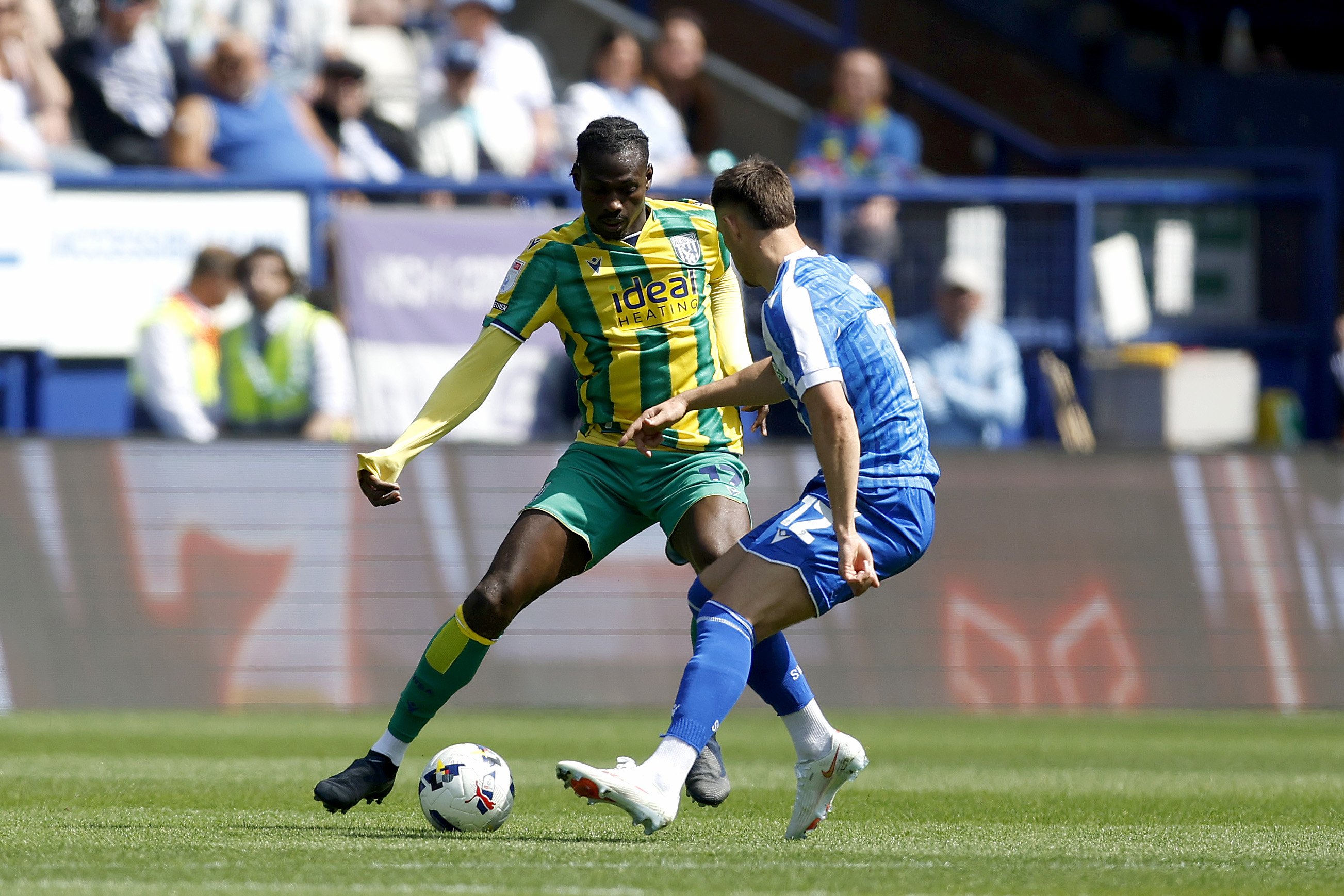 Player ratings: Host of low marks as West Brom finish with whimper at Sheffield Wednesday