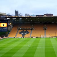 Wolves match halted after fan needs medical attention