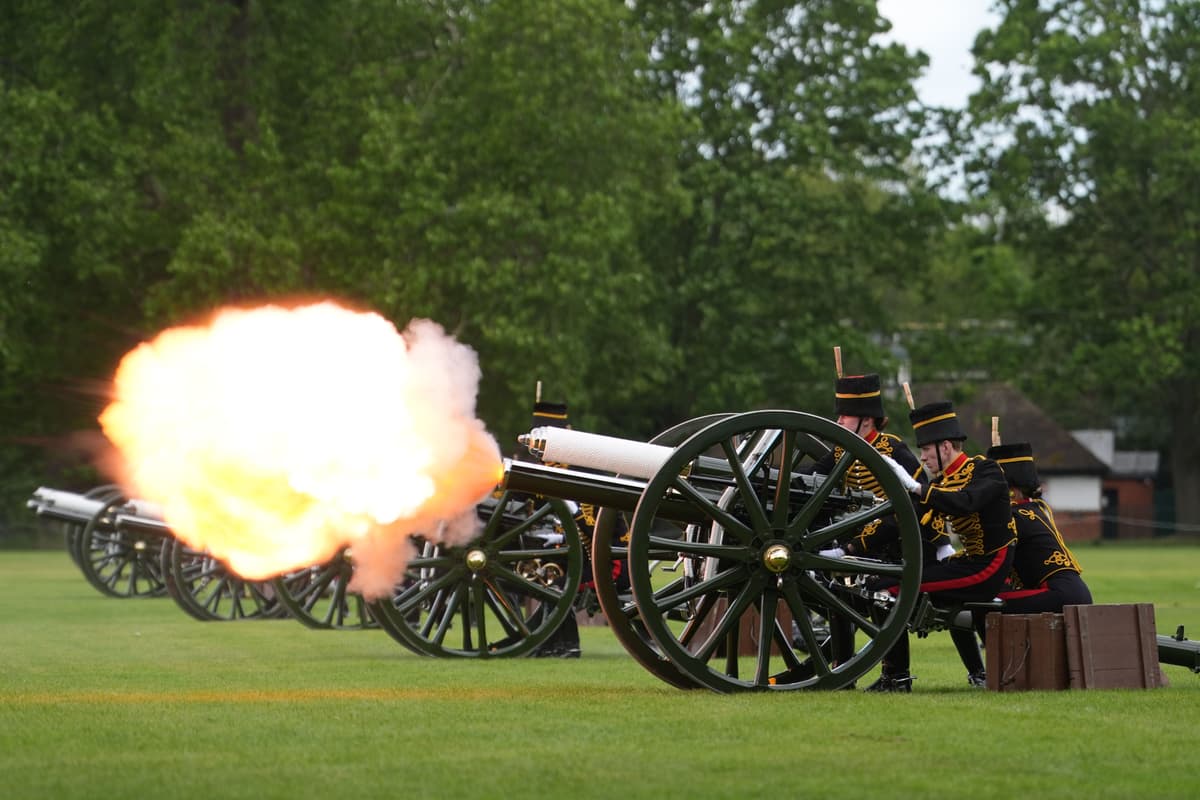 Gun salute marks anniversary of King’s coronation – after ducklings guided ...