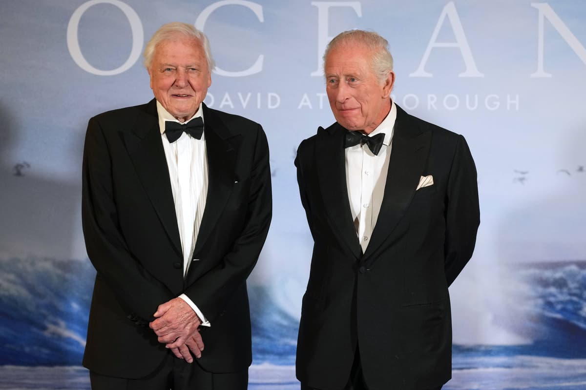 Leonardo DiCaprio and David Beckham lead David Attenborough birthday ...