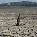 A 'super El Nino' would increase extreme weather - from droughts to flooding - across the globe