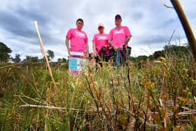 Three friends and dog walkers are raising awareness that adders have been spotted on Cannock Chase and have bitten dogs.
