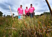 Three friends and dog walkers are raising awareness that adders have been spotted on Cannock Chase and have bitten dogs.
