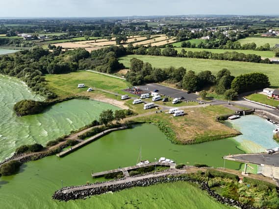 Blue-green algae on Lough Neagh