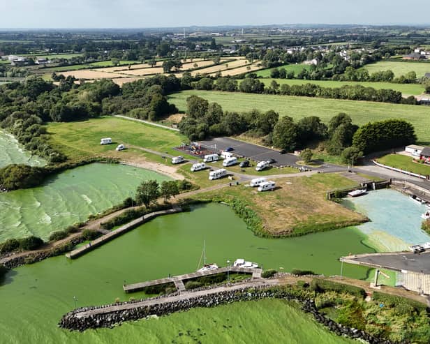 Blue-green algae on Lough Neagh
