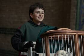 Dominic McLaughlin as Harry Potter in the new HBO series