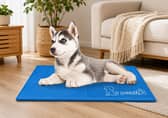 The bestselling Pecute cooling mat is designed to help dogs stay comfortable during warmer summer weather.