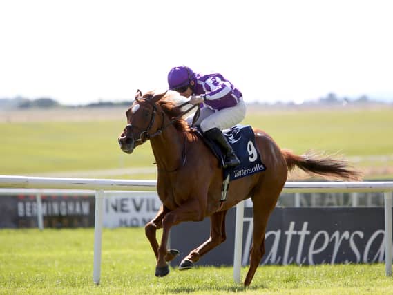 Precise winning the Irish 1,000 Guineas