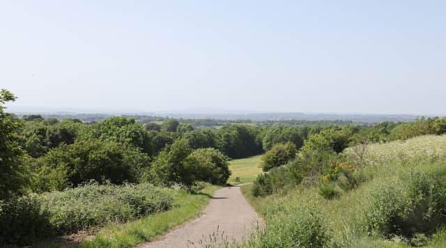 The Beacon sits atop a leafy, green and vast landscape