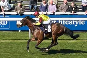 Matteo winning at Beverley