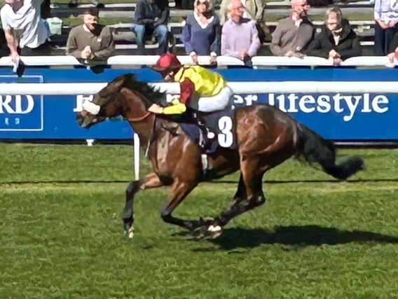 Matteo winning at Beverley