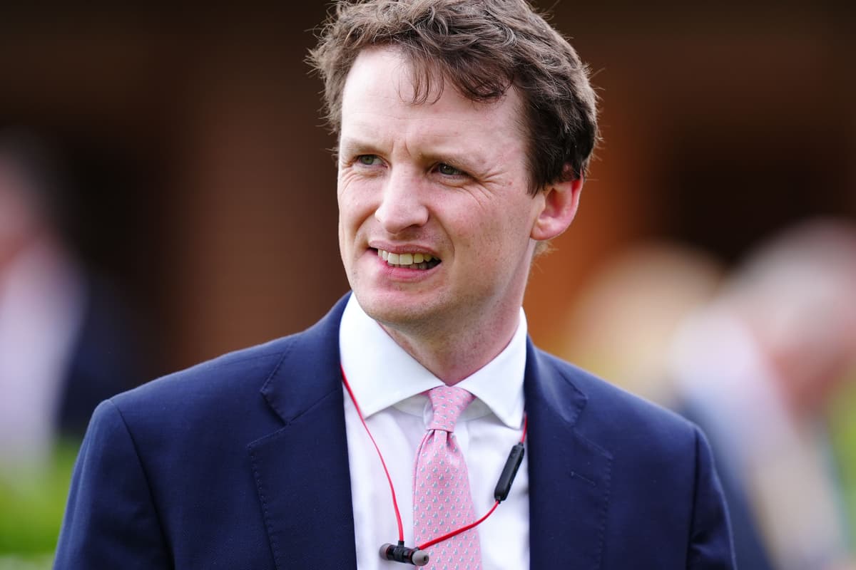 Cosmic Mystery could be another Wathnan to watch