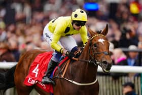 Hankelow winning the Autumn Stakes at Newmarket