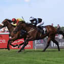 Matteo (left) ridden by Kevin Stott winning at Beverley