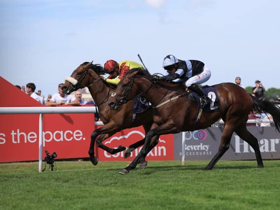 Matteo (left) ridden by Kevin Stott winning at Beverley