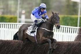 Energumene was a Cheltenham Festival hero