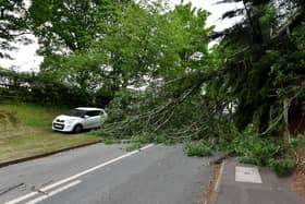 The scene on Orton Lane, Wombourne after a fallen tree blocks the road.
A car attempts to squeeze past the tree.