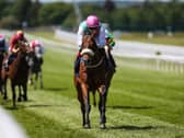 Purview on his way to winning the Orby Stakes at the Curragh