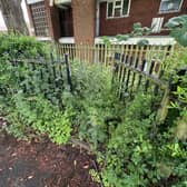 Overgrown grass in Club Row, Upper Gornal