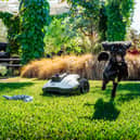 Mammotion's new Yuka 2 Mini is a great garden companion - thanks to some clever guidance tech