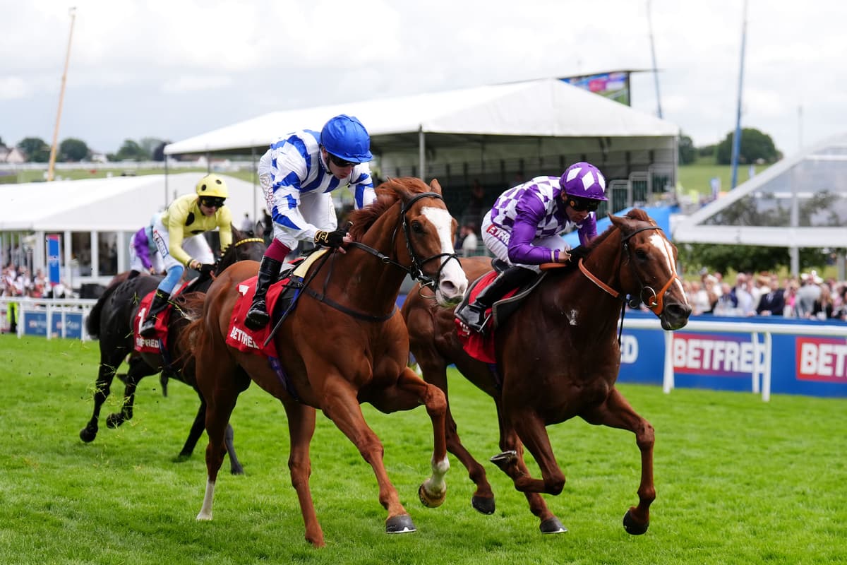 Seagulls Eleven scores for football ownership group at Epsom