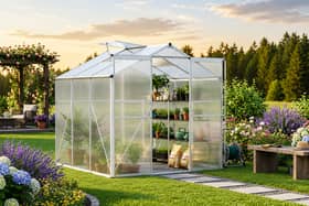 The walk-in greenhouse provides a dedicated space for growing plants while helping protect them from changing weather conditions