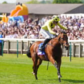 Bow Echo is in top shape ahead of Royal Ascot