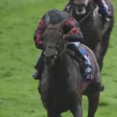 Maltese Cross in action at Epsom