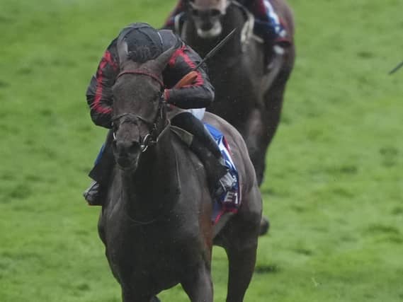 Maltese Cross in action at Epsom
