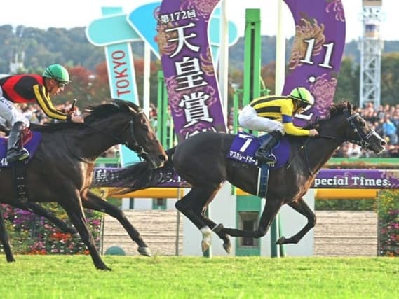 Masquerade Ball winning at Tokyo