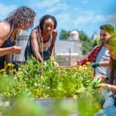 National Grid is offering grants of up to £5,000 for improving green spaces across the West Midlands