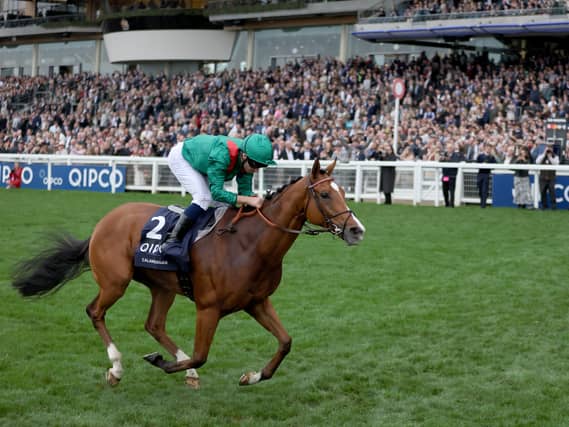 Calandagan in action at Ascot
