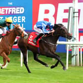 Santorini Star is a possible for the Hardwicke Stakes