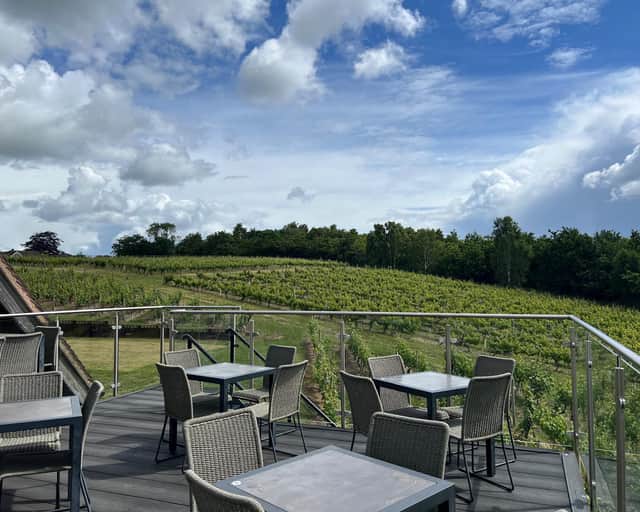 View over the vineyard at Halfpenny Green Wine Estate, Bobbington, South Staffordshire