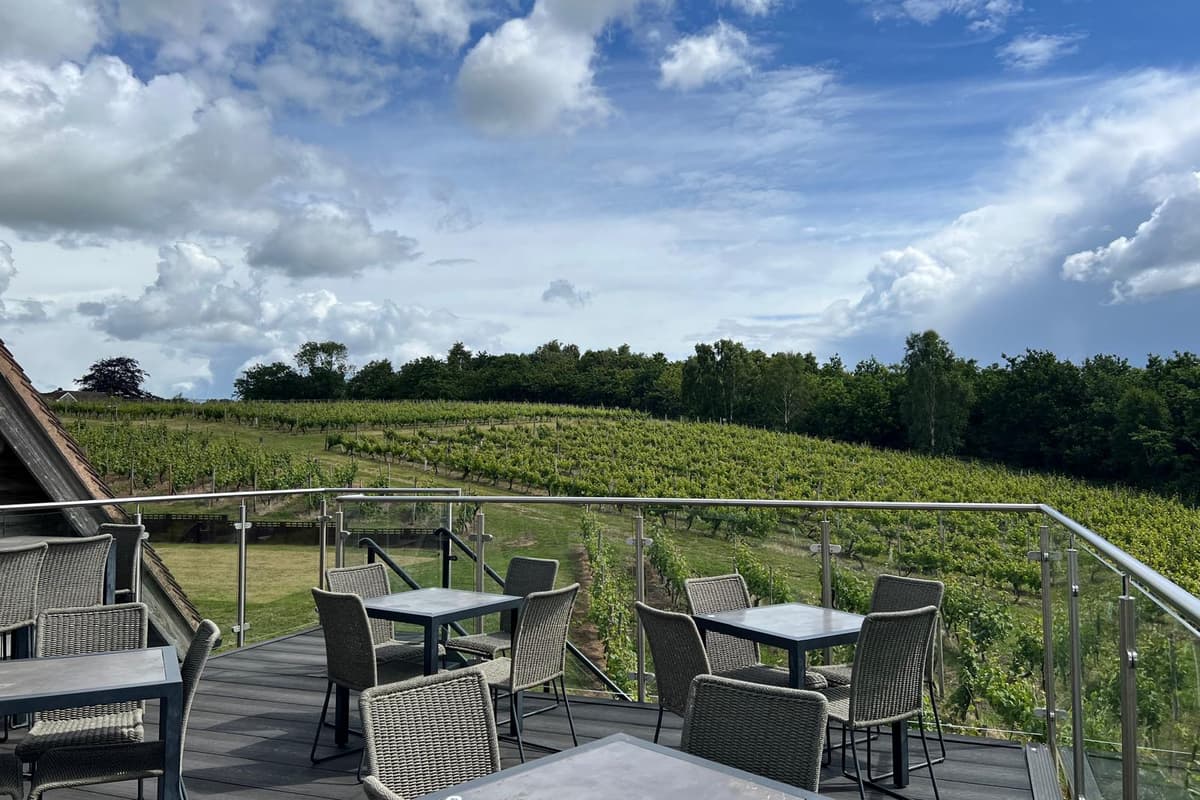 Halfpenny Green Wine Estate near Stourbridge gears up for bumper harvest ...
