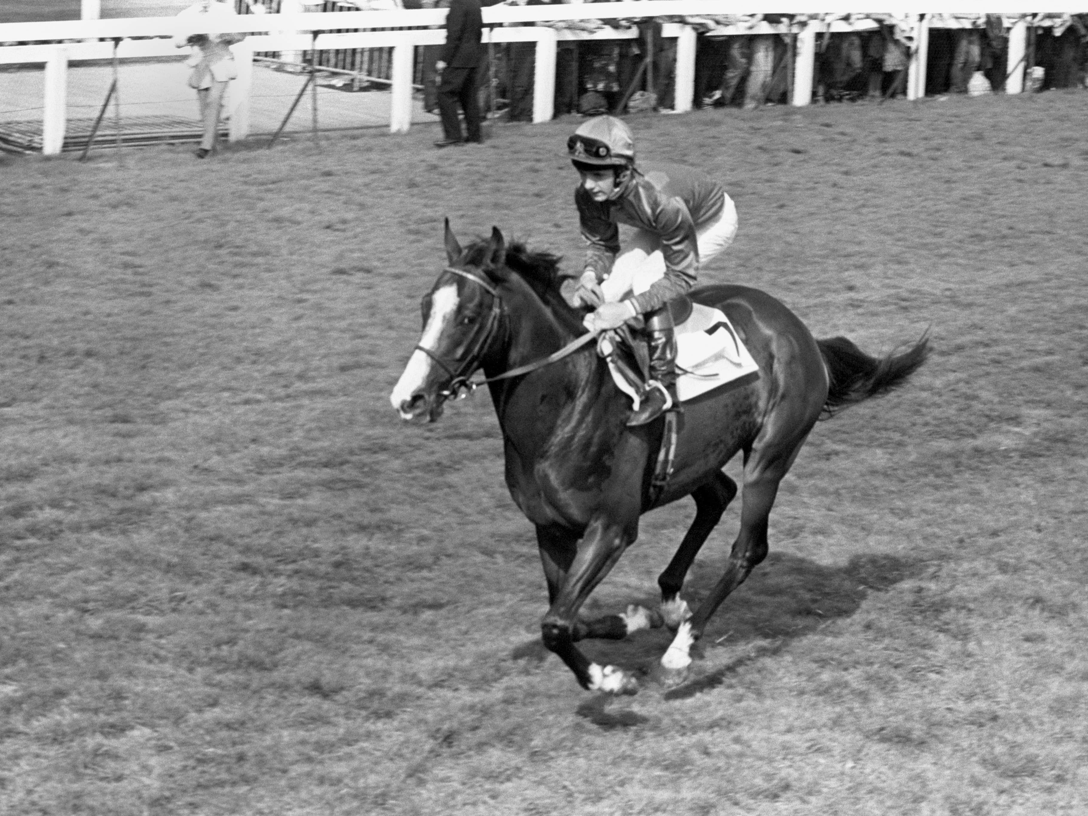 Aga Khan’s daughter reveals Shergar was killed ‘in an awful way’