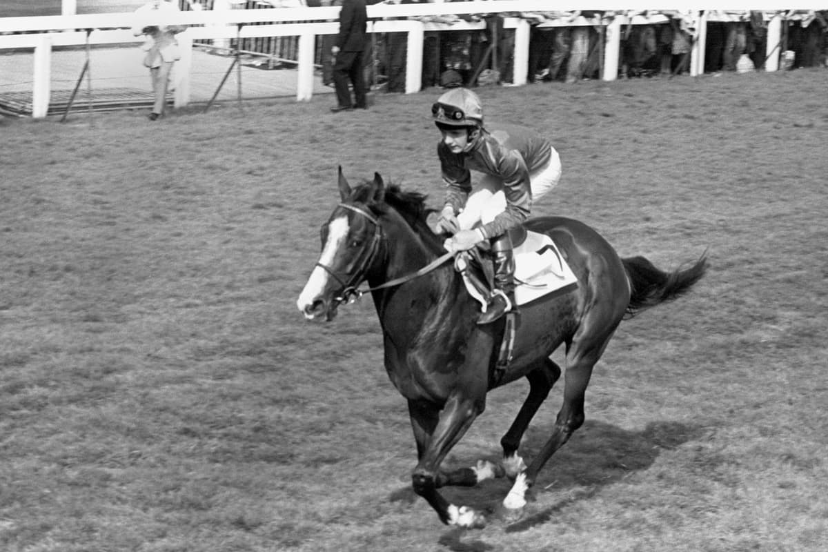 Aga Khan’s daughter reveals Shergar was killed ‘in an awful way’