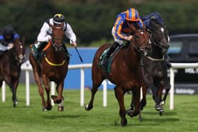 Diamond Necklace wins at Leopardstown