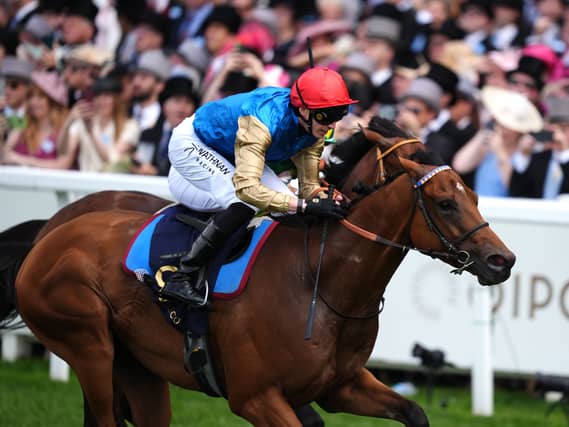 Lazzat will miss this year's Royal Ascot