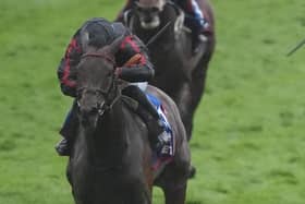 Maltese Cross in action at Epsom