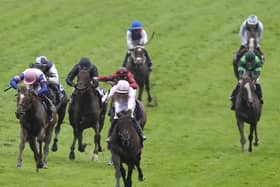 Benvenuto Cellini (right) crossed the line in 10th in the Derby