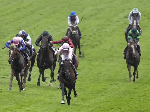 Benvenuto Cellini (right) crossed the line in 10th in the Derby