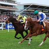 Lost Boys (right) will sport the Wathnan Racing colours at Royal Ascot