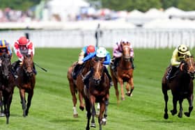Rashabar has been retired and will seek a place at stud