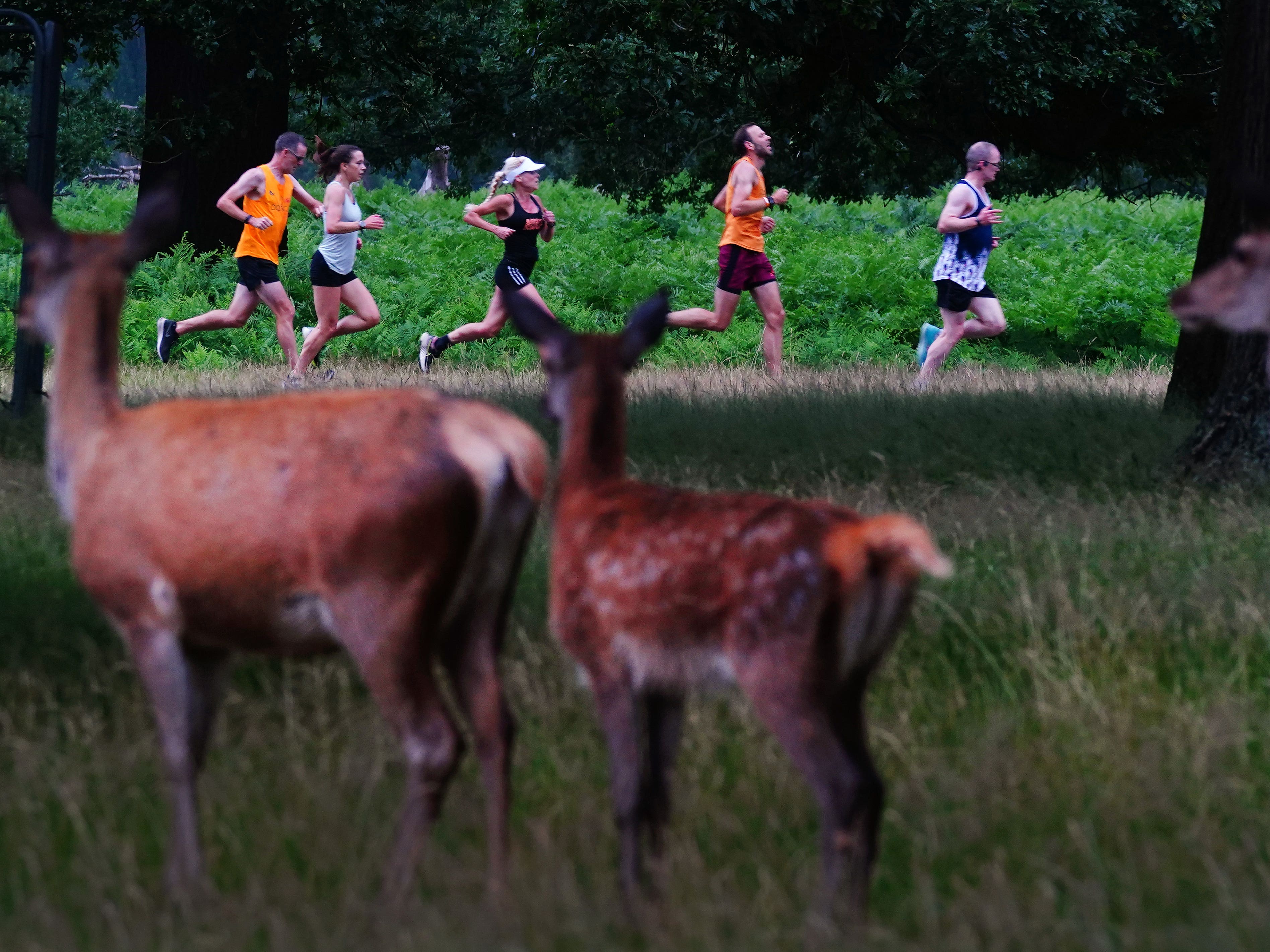 File photo of runners at Bushy parkrun. (Victoria Jones/ PA)
