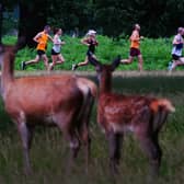File photo of runners at Bushy parkrun. (Victoria Jones/ PA)