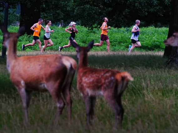 File photo of runners at Bushy parkrun. (Victoria Jones/ PA)