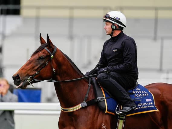 Joliestar at Ascot last week