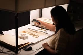 A person holds a digital scanner over a pressed plant specimen